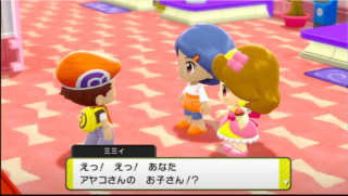 ダイパリメイク