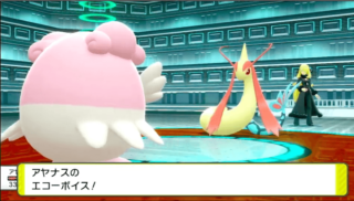 ハピナス